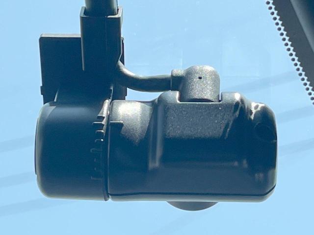 23340095_carP_l_17.jpg