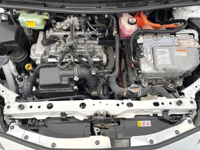 26022736_carP_l_16.jpg