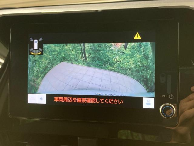 23340220_carP_l_4.jpg