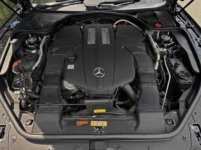 24691029_carP_l_17.jpg