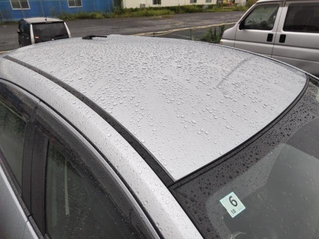26843885_carP_l_14.jpg