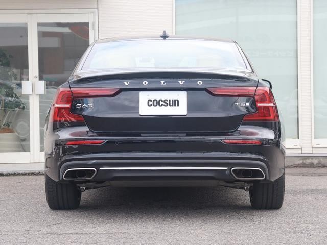 26616497_carP_l_19.jpg