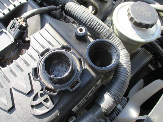 23340922_carP_l_15.jpg