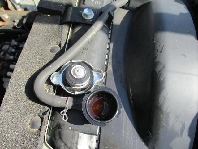 23340922_carP_l_3.jpg