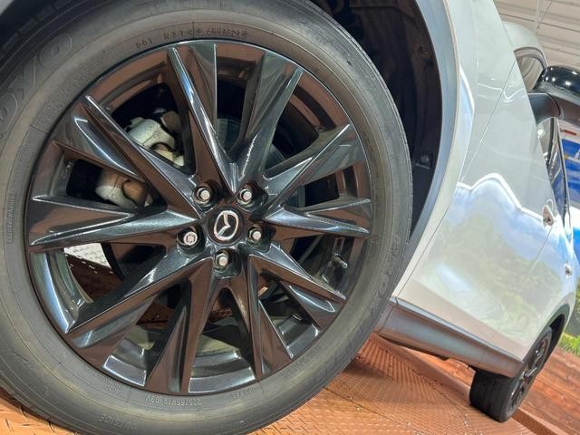 25344595_carP_l_7.jpg