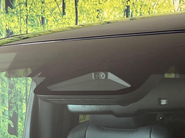 24500638_carP_l_10.jpg