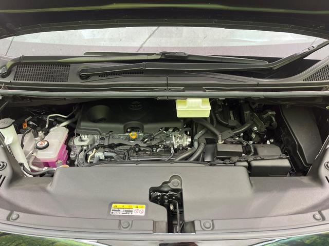 24500638_carP_l_16.jpg