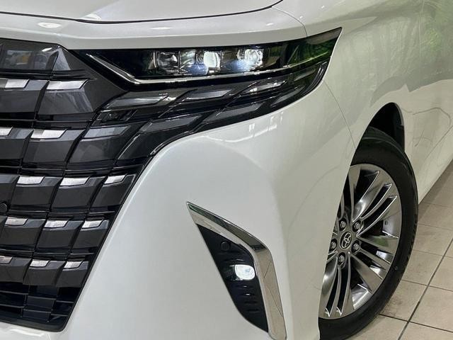 25179435_carP_l_7.jpg
