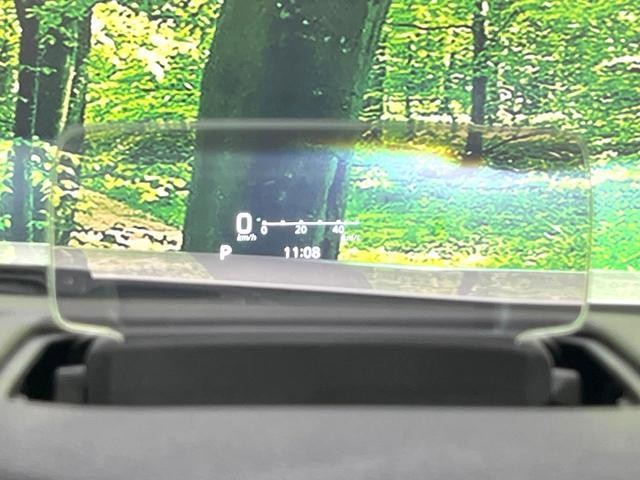 25754379_carP_l_14.jpg