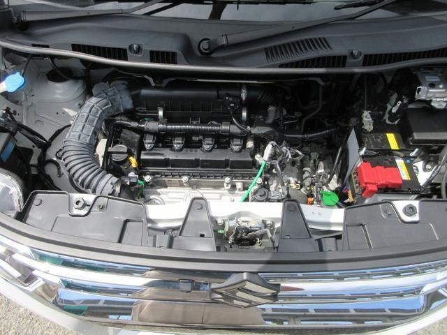 25056655_carP_l_12.jpg