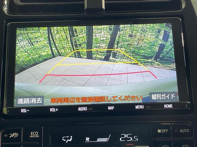 24239757_carP_l_13.jpg