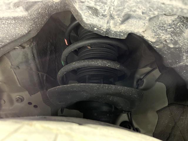 24239586_carP_l_20.jpg