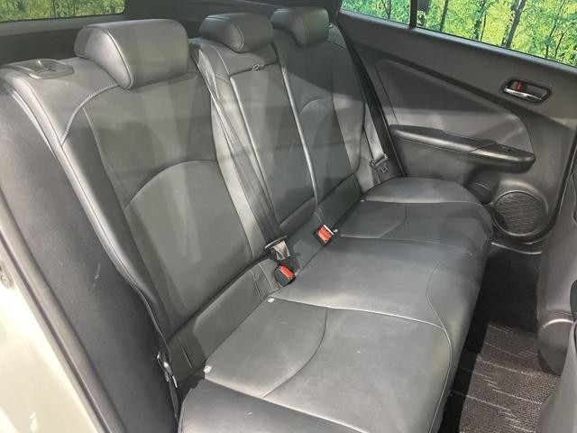 26426487_carP_l_19.jpg