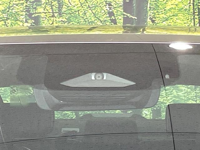 25694742_carP_l_10.jpg
