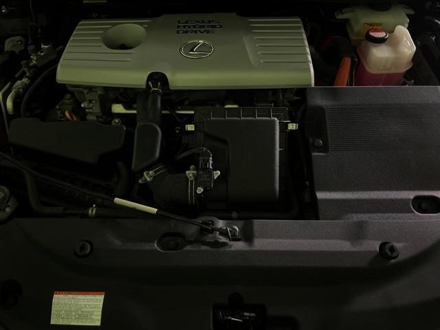 24891498_carP_l_12.jpg