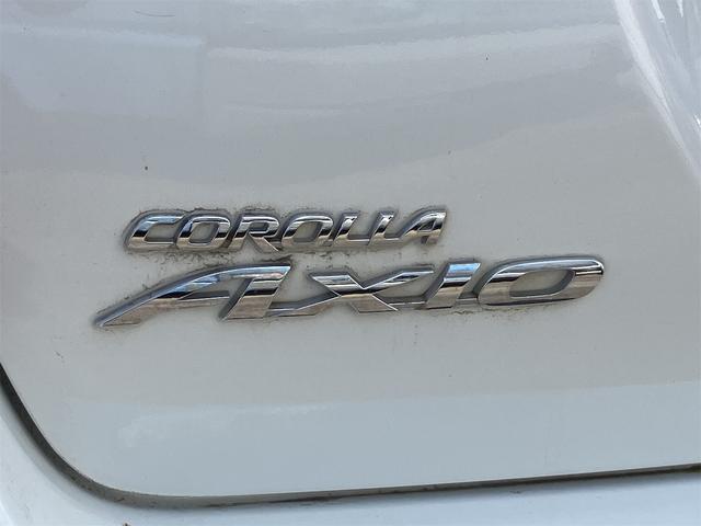 23554833_carP_l_12.jpg