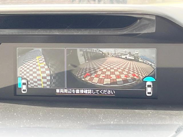 24685537_carP_l_10.jpg