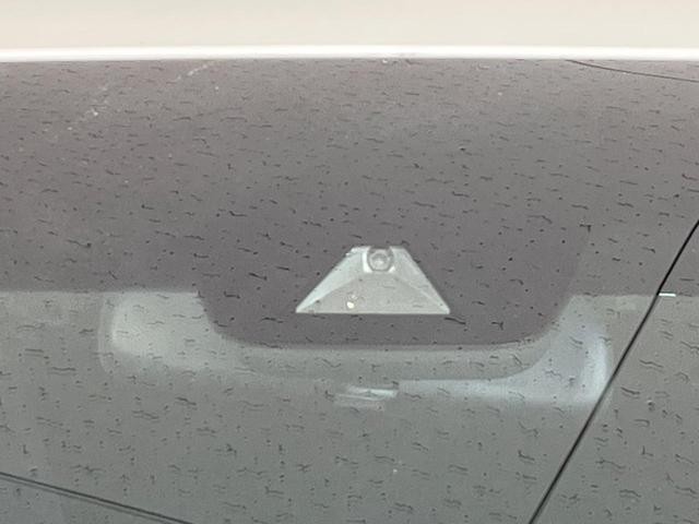 25117785_carP_l_14.jpg