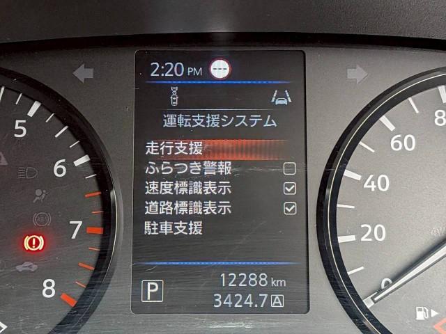 23377642_carP_l_19.jpg