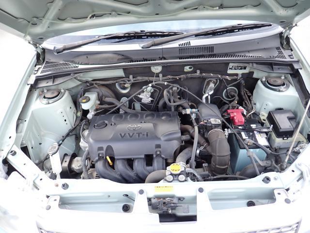 24751164_carP_l_17.jpg