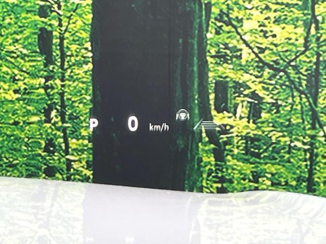 24767985_carP_l_14.jpg