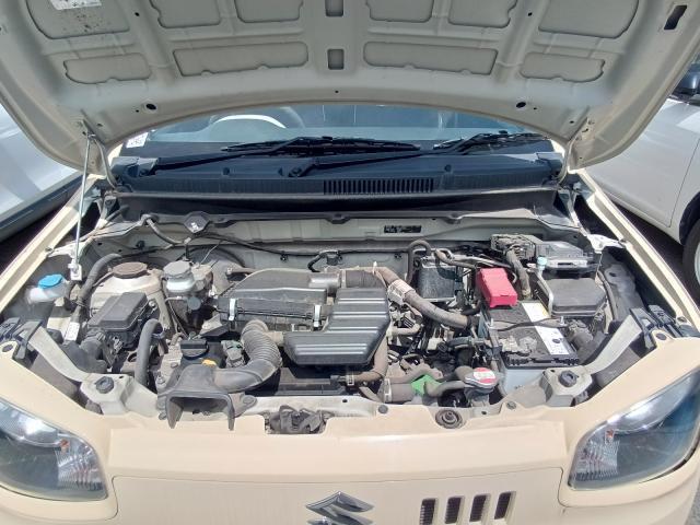 24626067_carP_l_14.jpg
