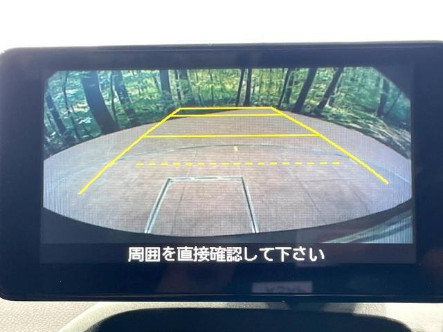 25056693_carP_l_13.jpg