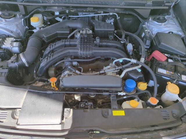 26860858_carP_l_17.jpg