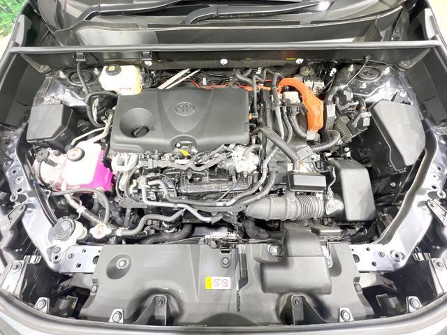 24155732_carP_l_18.jpg