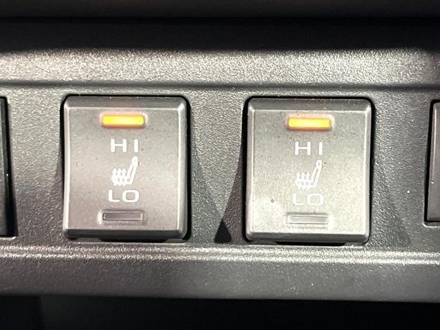 26146999_carP_l_14.jpg