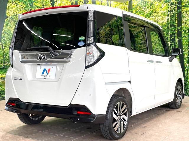 24768127_carP_l_12.jpg