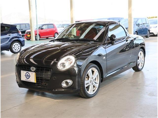 25445332_carP_l_1.jpg
