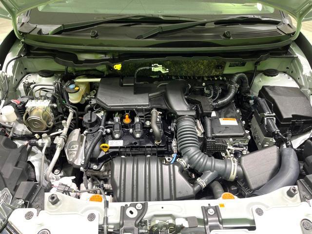 24089774_carP_l_16.jpg