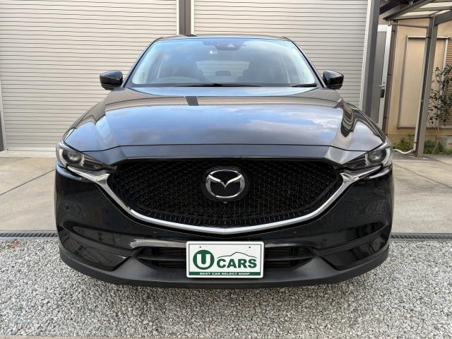 25446278_carP_l_5.jpg