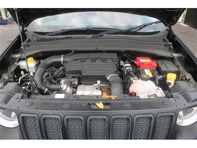 26169108_carP_l_18.jpg