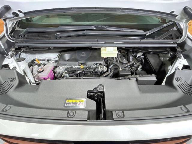 26293409_carP_l_20.jpg