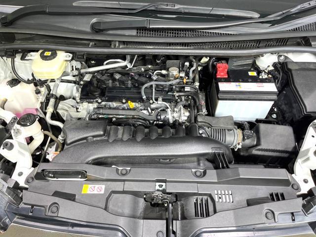 24089775_carP_l_18.jpg