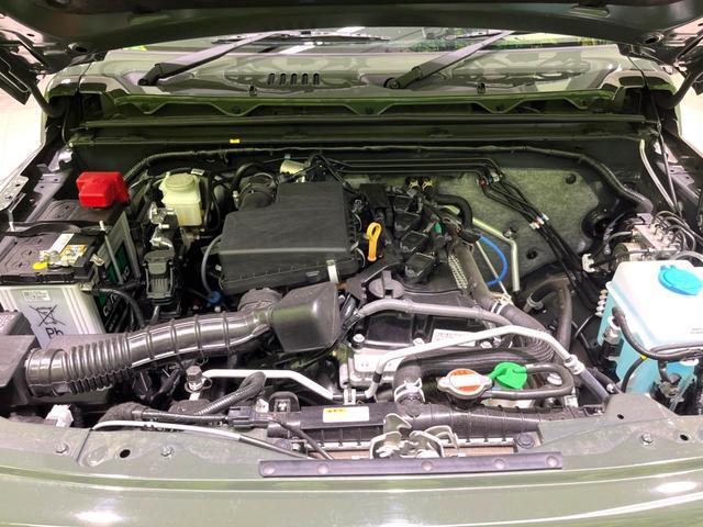 24089776_carP_l_16.jpg
