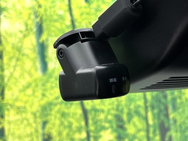 25035841_carP_l_13.jpg