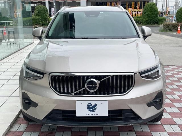 24994609_carP_l_11.jpg