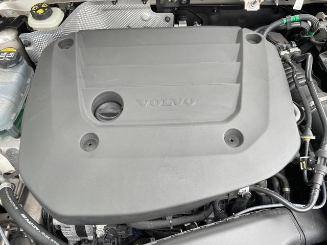 24994609_carP_l_20.jpg