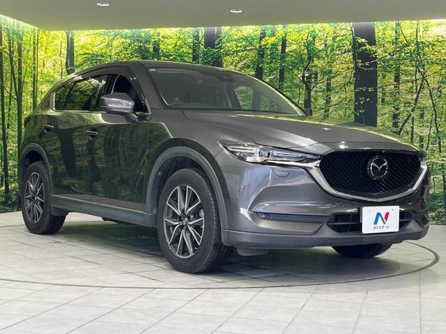 26645238_carP_l_12.jpg