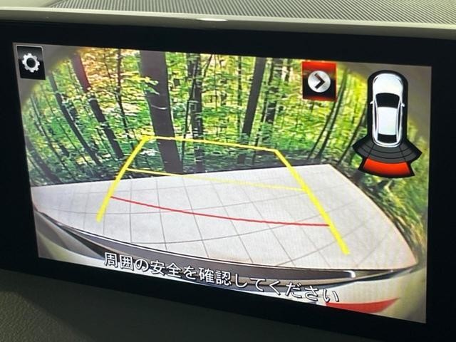 26645238_carP_l_4.jpg