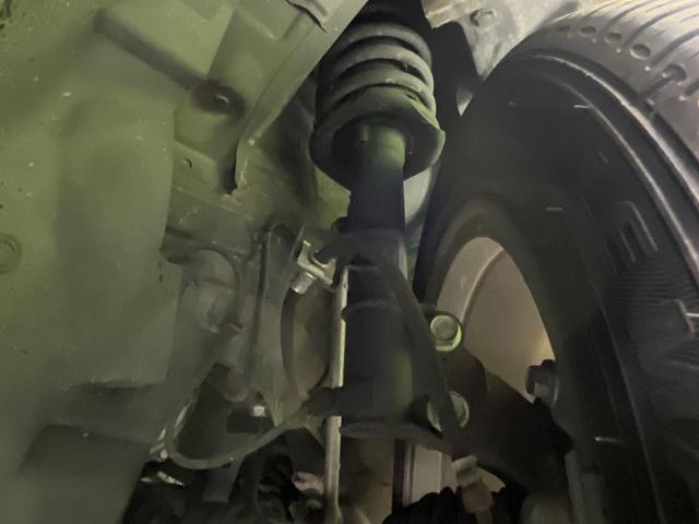 24259864_carP_l_20.jpg