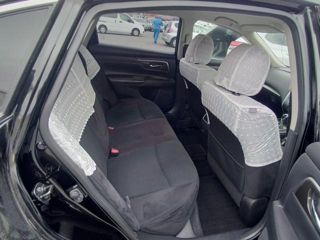 24626092_carP_l_14.jpg