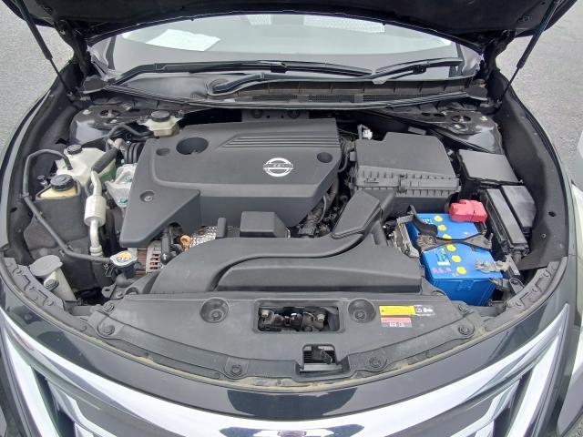 24626092_carP_l_7.jpg