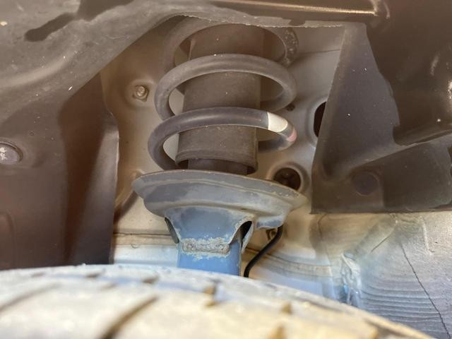 25653178_carP_l_18.jpg