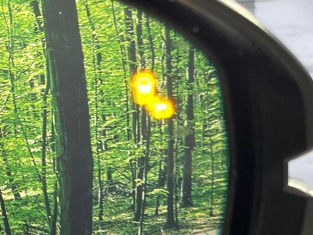 24089854_carP_l_10.jpg