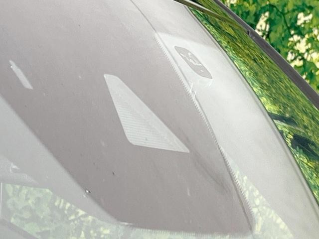 26426368_carP_l_10.jpg