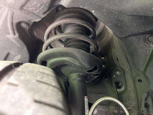 24440716_carP_l_20.jpg